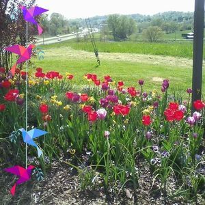 Meet your Posher, Cathy